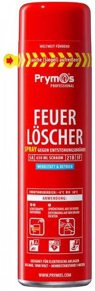 Feuerlöscher-Spray Werkstatt, 650ml